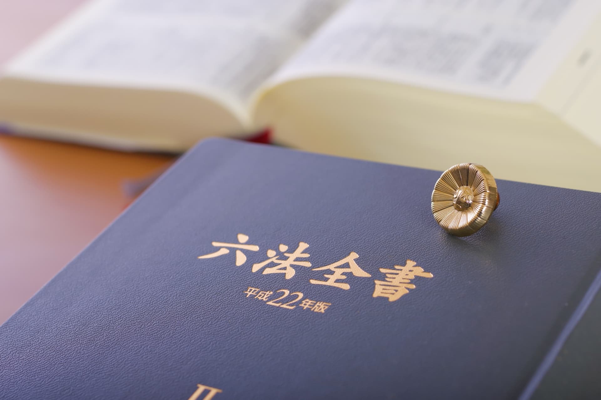 法務（弁護士）のサービス画像